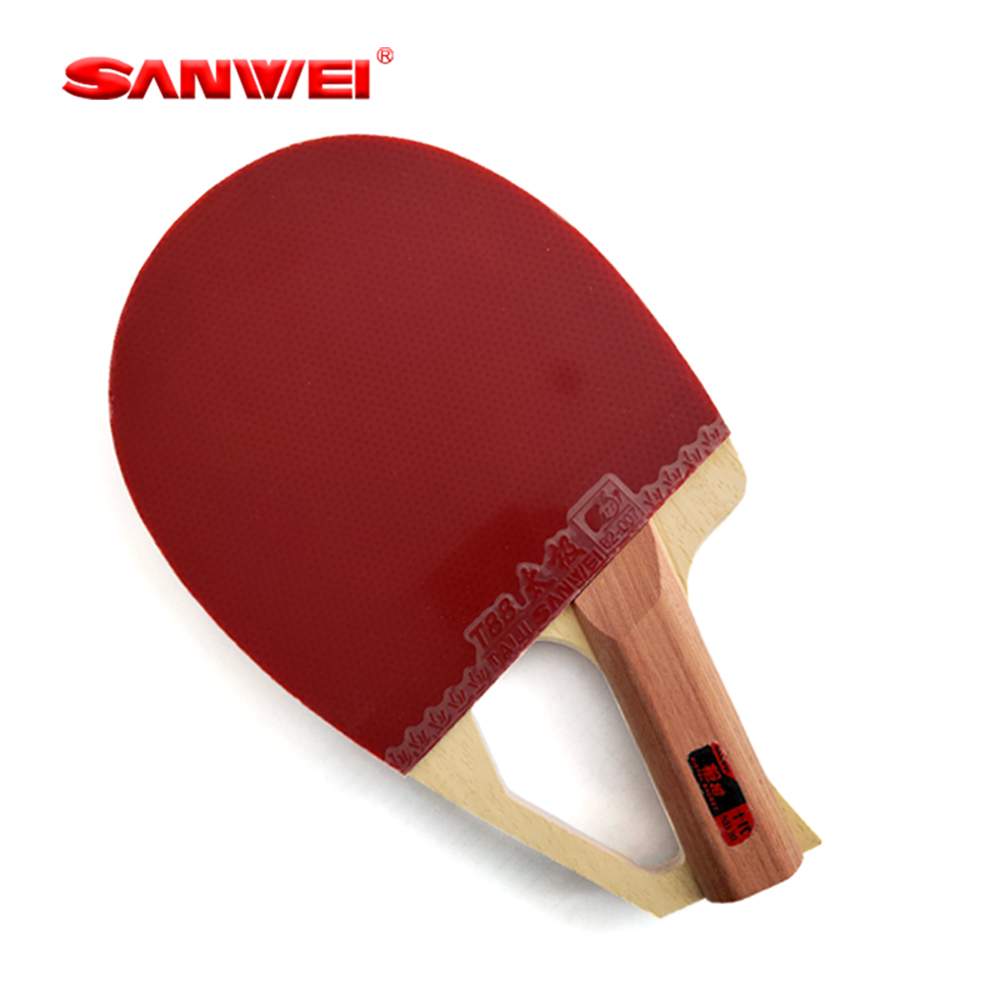 Origineel SANWEI gepatenteerd  - Table Tennis Racket recensie en prijs