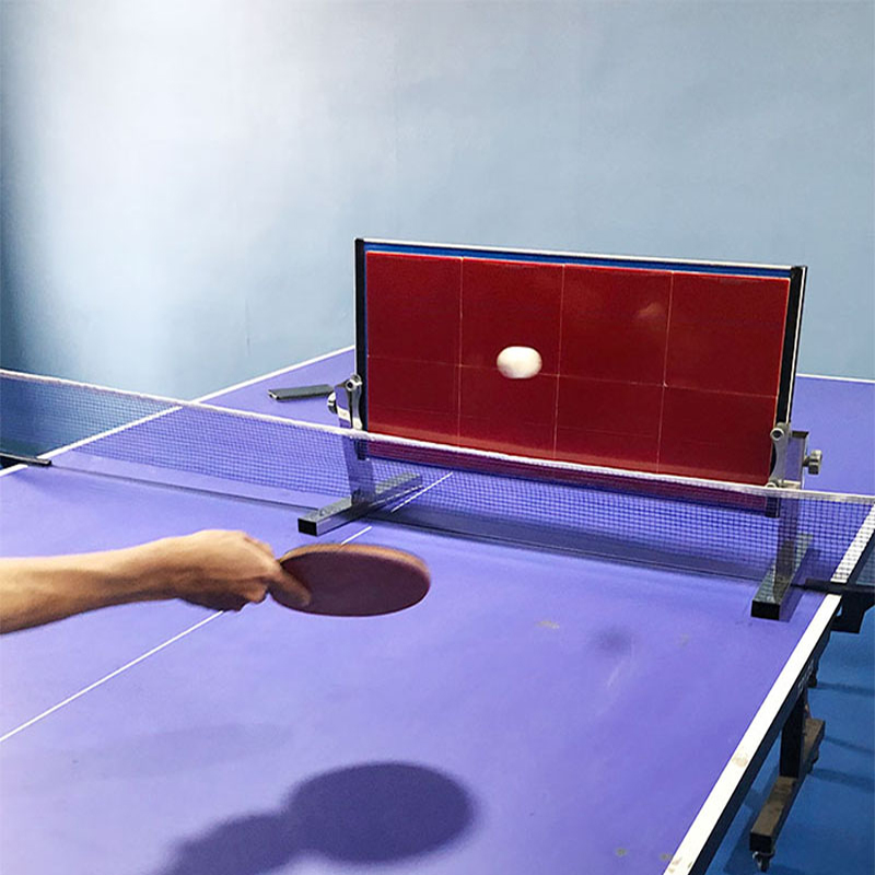 Thuis Tafeltennis Rebound Boar - Table Tennis Video Game recensie en prijs